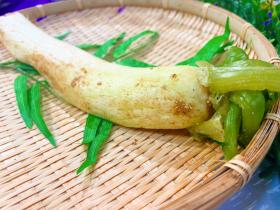 しぼり大根糠風味 縦半割